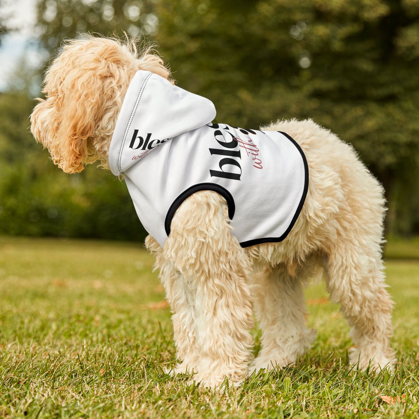 Blessed with Paws Hoodie: Perfect Gift for Dog and Cat Owners, Stylish Dog Apparel for Cozy Days